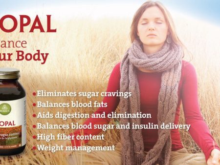 NOPAL 750G BLOOD SUGAR CONTR Online