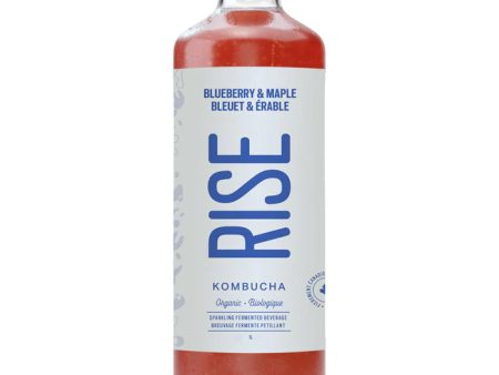 JUS 1LT KOMBUCHA BLEUET&ERABLE on Sale