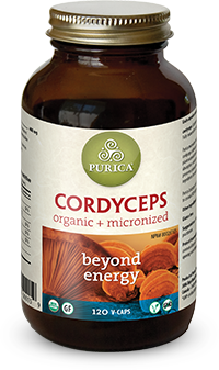 CORDYCEPS 60CAP VIGOR & LIBI Online Sale