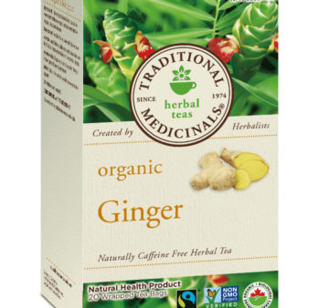 TEA TRAD.20S GINGER BIO Discount