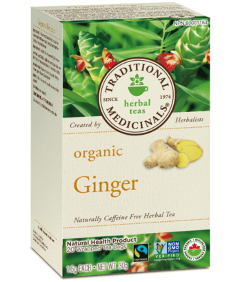 TEA TRAD.20S GINGER BIO Discount