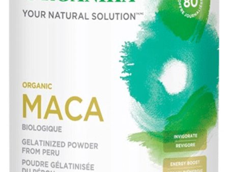 MACA 400G GELATINIZED ORGANI Cheap