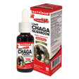 CHAGA MUSHROOM 30ML NUTRIDOM Discount