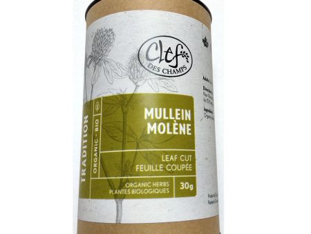 MOLENE 30G MULLEIN CLEF DES on Sale