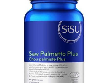 SAW PALMETTO 120CAP.SISU Fashion