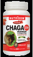 CHAGA MUSHROOM 120CAP X20 CO Online