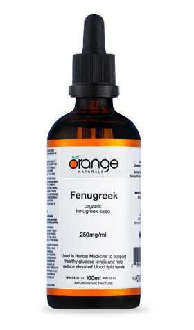 FENUGREEK TINC.100MN ORANGE Cheap