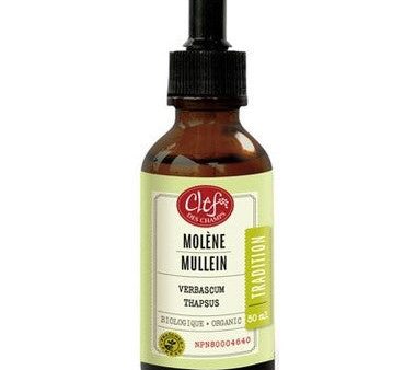 MOLENE 50ML MULLEIN CDC Discount